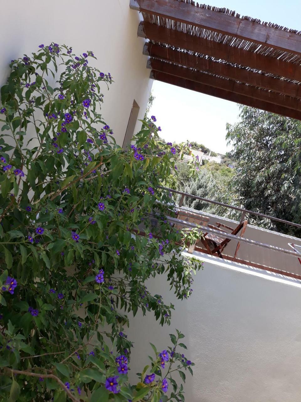 Vilana Studios Kalamos  Екстер'єр фото